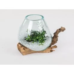 Formano Wurzel-Windlicht