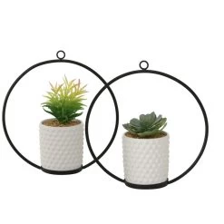 Boltze Topfpflanze "Pianto"