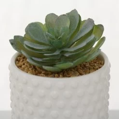 Boltze Topfpflanze "Pianto" -Gehen Sie mit Möbeln groß raus. 63fb763aa86d73f0a8053d082df325ce