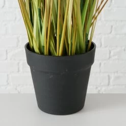 Boltze Topfpflanze "Zwiebelgras" 8 Boltze Topfpflanze "Zwiebelgras" -Gehen Sie mit Möbeln groß raus. 76ab2d6f8d41dbc9b99fadb84baffcb1