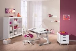 Paidi Schreibtisch -Gehen Sie mit Möbeln groß raus. 82bcff0ffa77b1c5d59e104f23cb53e3