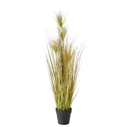 Boltze Topfpflanze "Zwiebelgras"