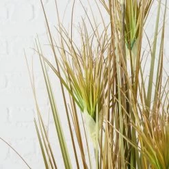 Boltze Topfpflanze "Zwiebelgras" 9 Boltze Topfpflanze "Zwiebelgras" -Gehen Sie mit Möbeln groß raus. bbd12cdf149c16fe2caec22f3d508c66