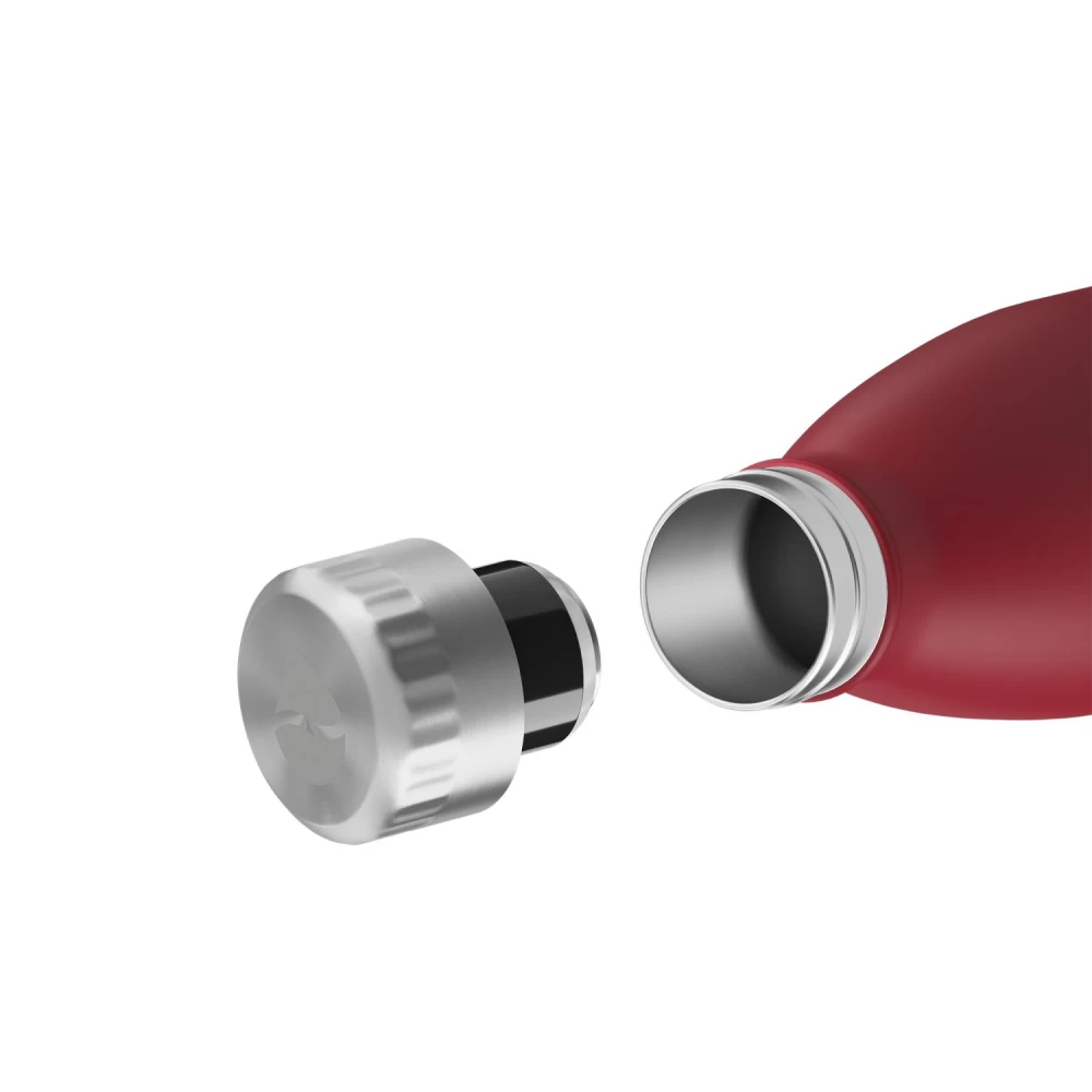 FLSK Isolierflasche "BRDX" 4 FLSK Isolierflasche "BRDX" – Bild 2